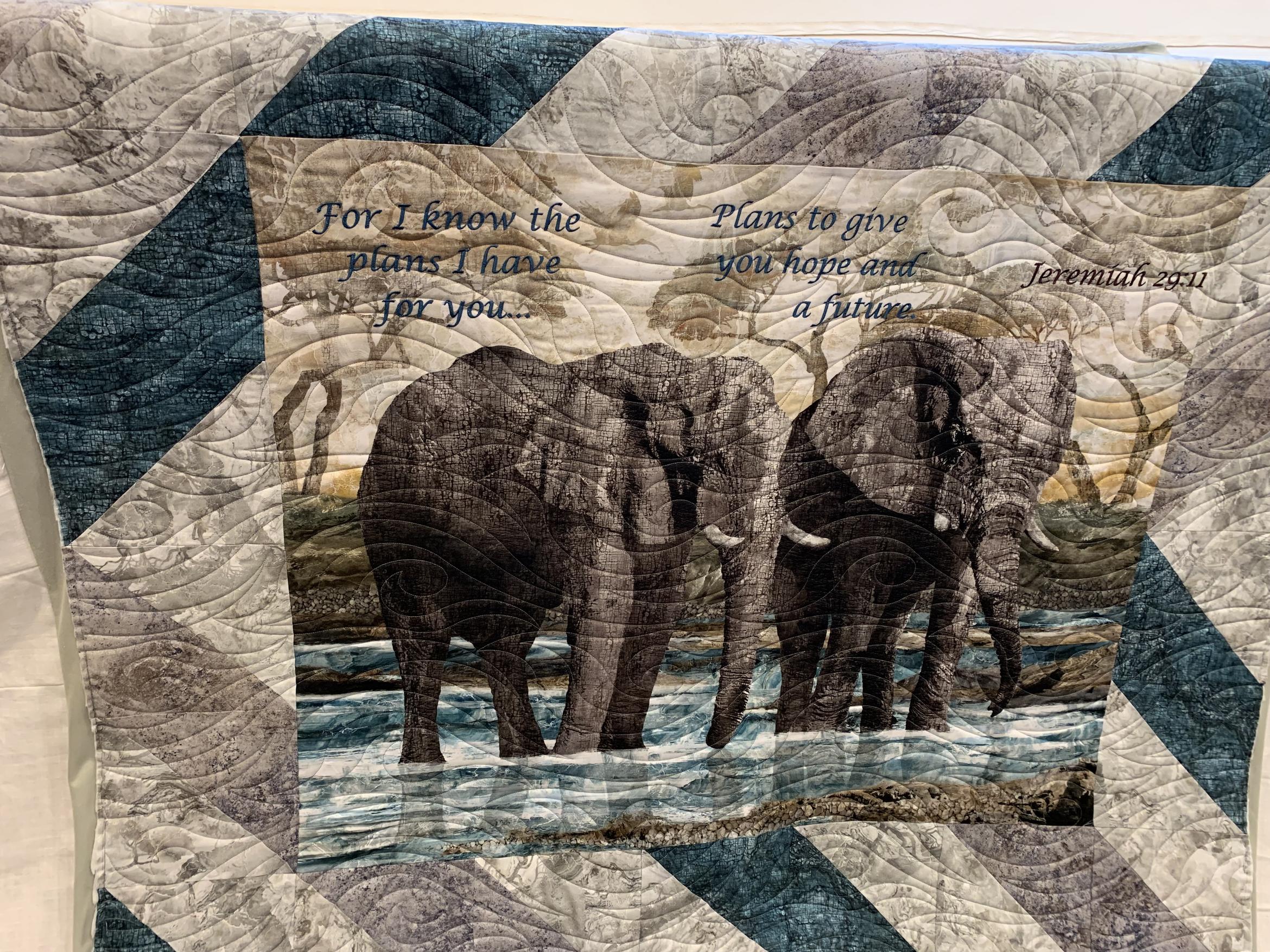 Zebra - pieced by Stephanie Wilms